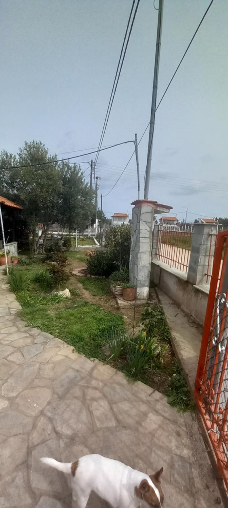 Villa Julia 尼亚普拉加 外观 照片