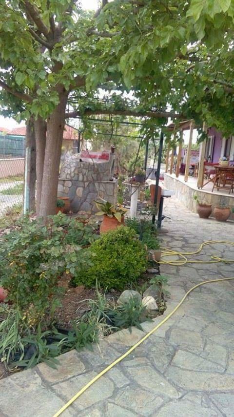 Villa Julia 尼亚普拉加 外观 照片
